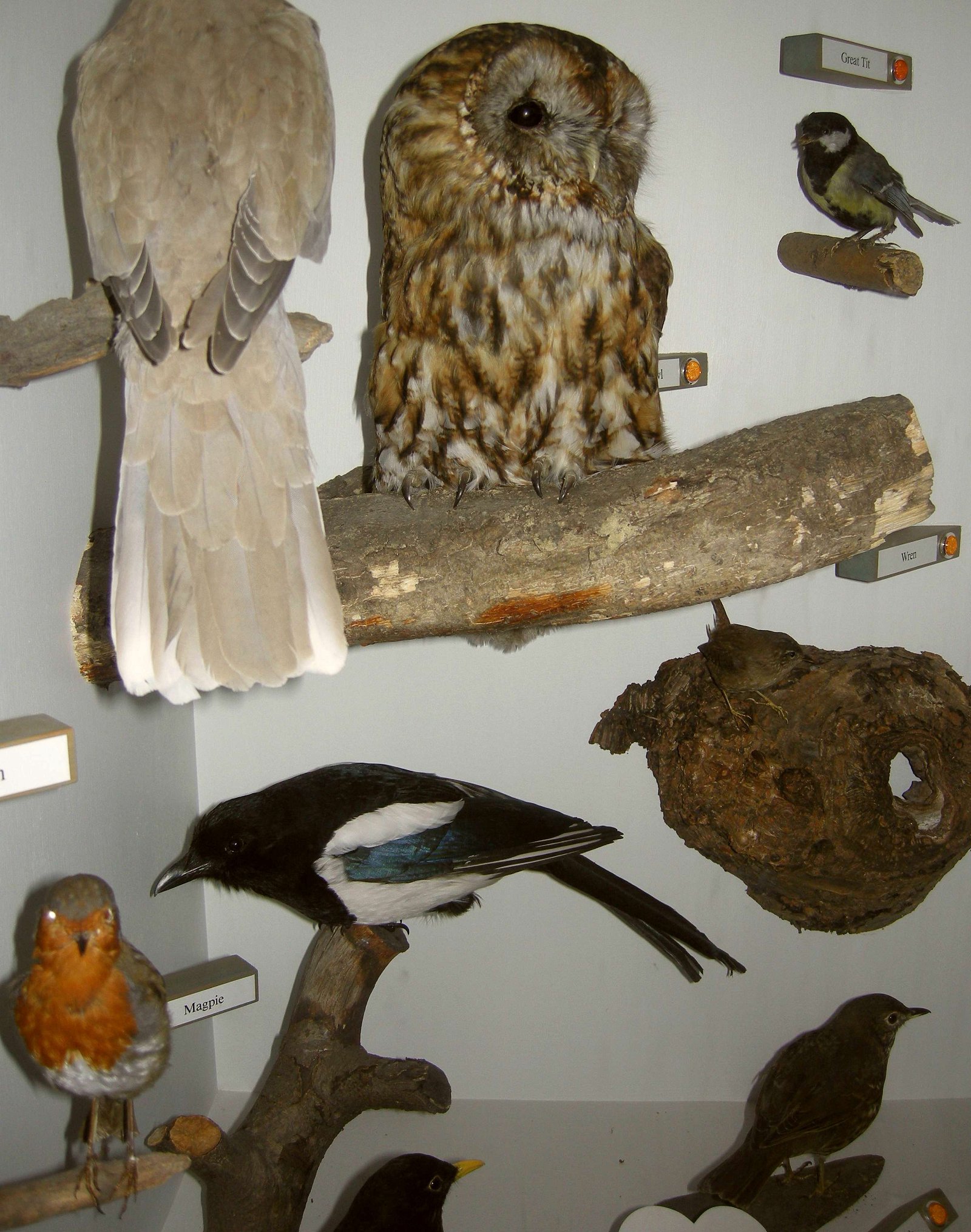 Bracken Hall Countryside Museum