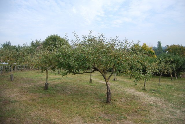 Kent Life Heritage Farm Park