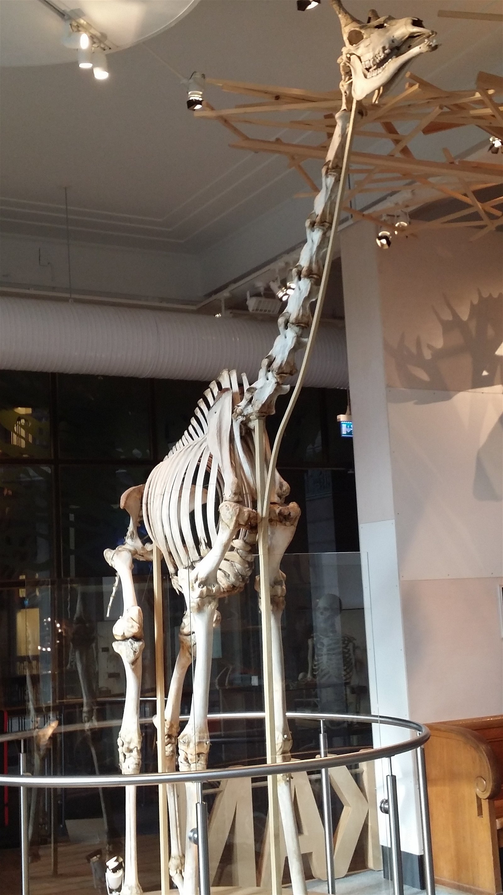 Swedish Museum of Natural History