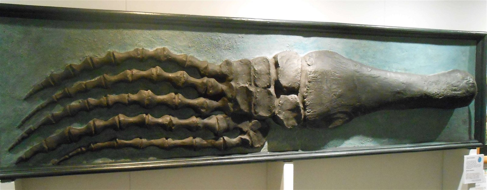 Wrexham County Borough Museum and Archives