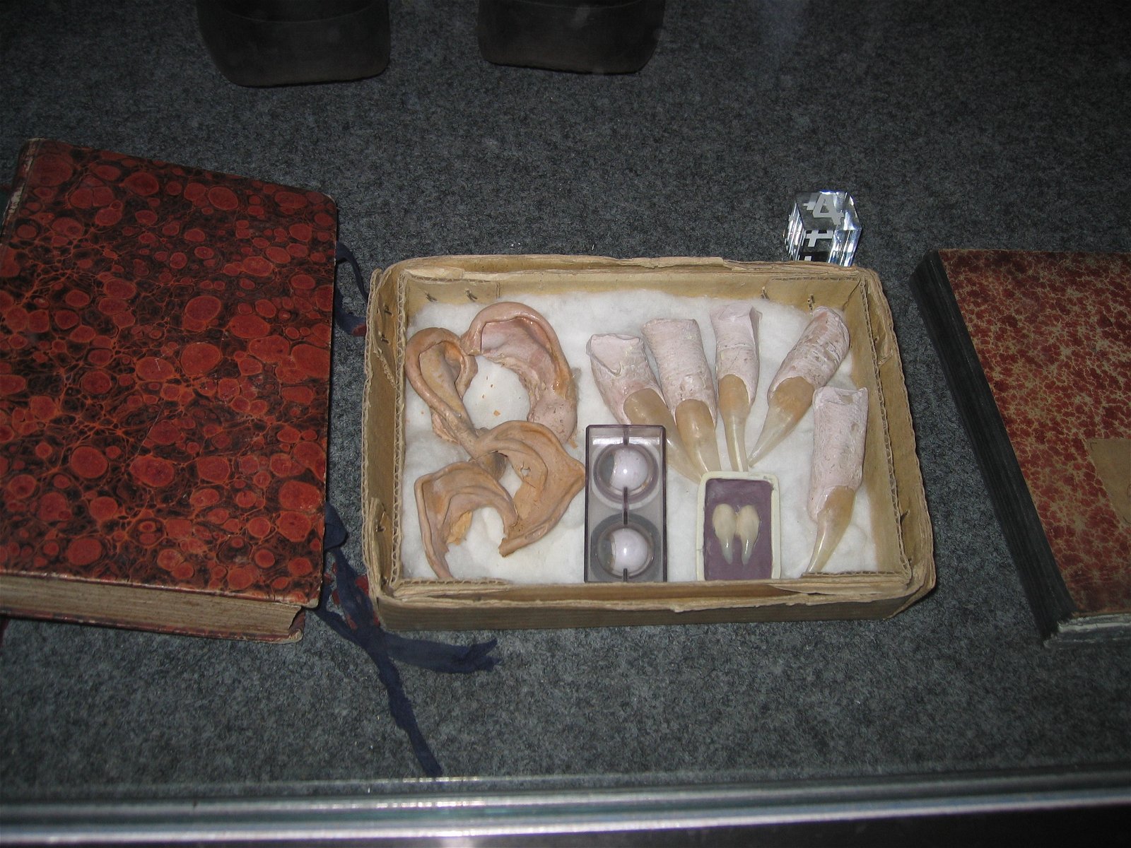 Düsseldorf Film Museum