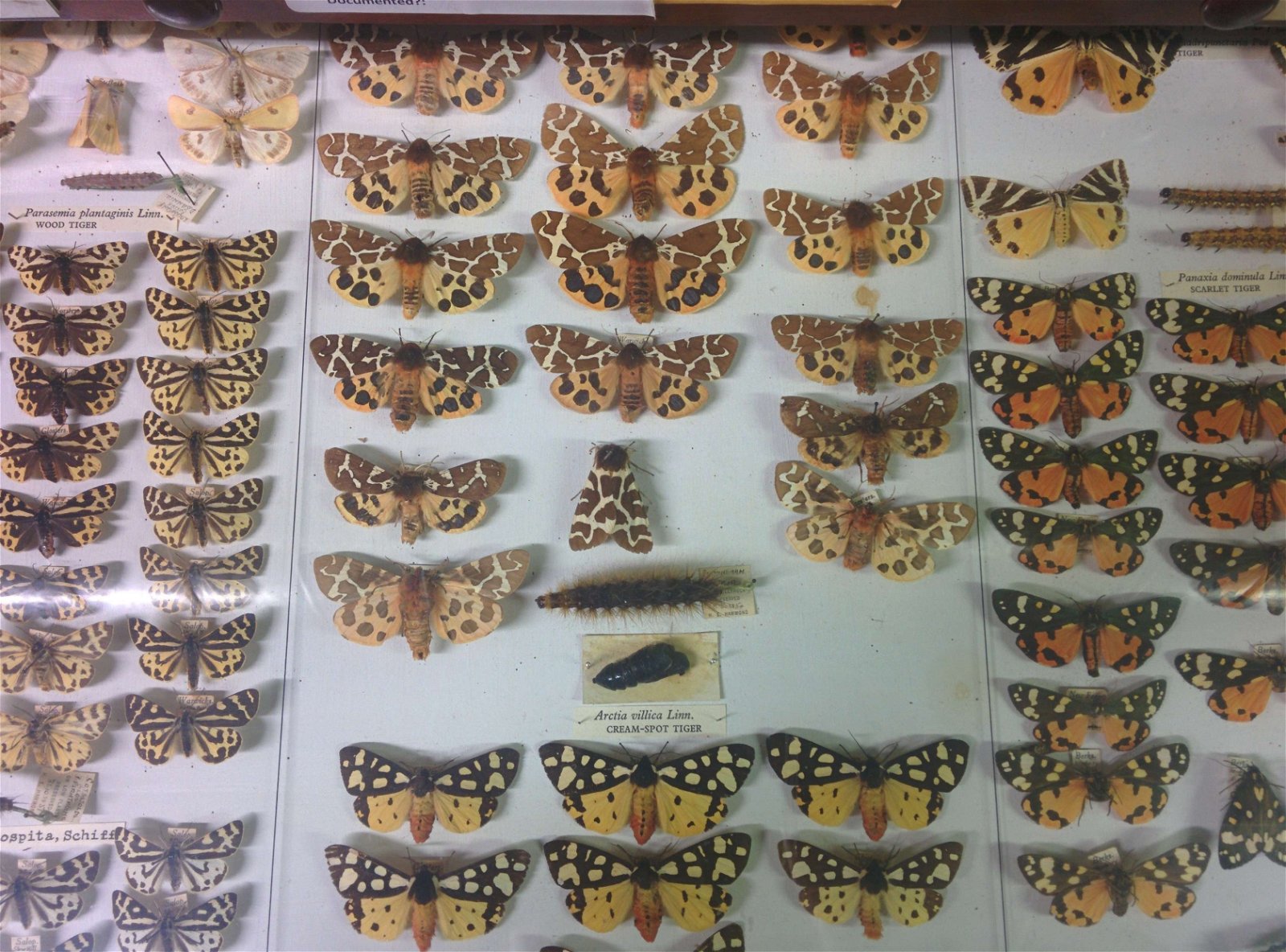 Museum Collections Centre