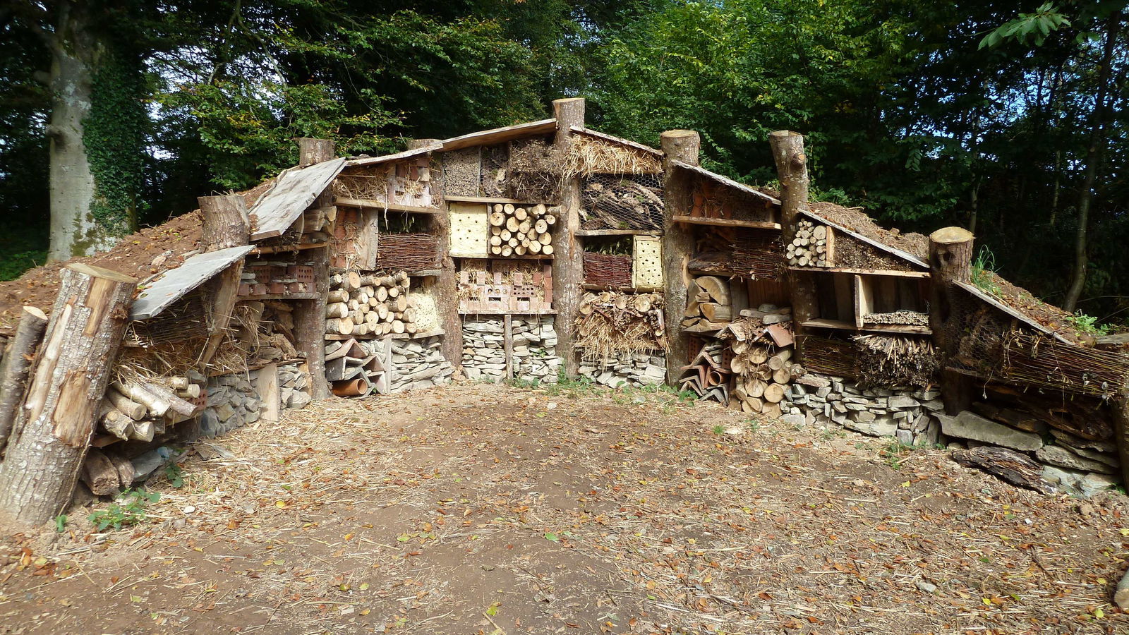 Lost Gardens of Heligan