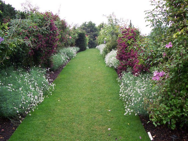 RHS Garden Hyde Hall