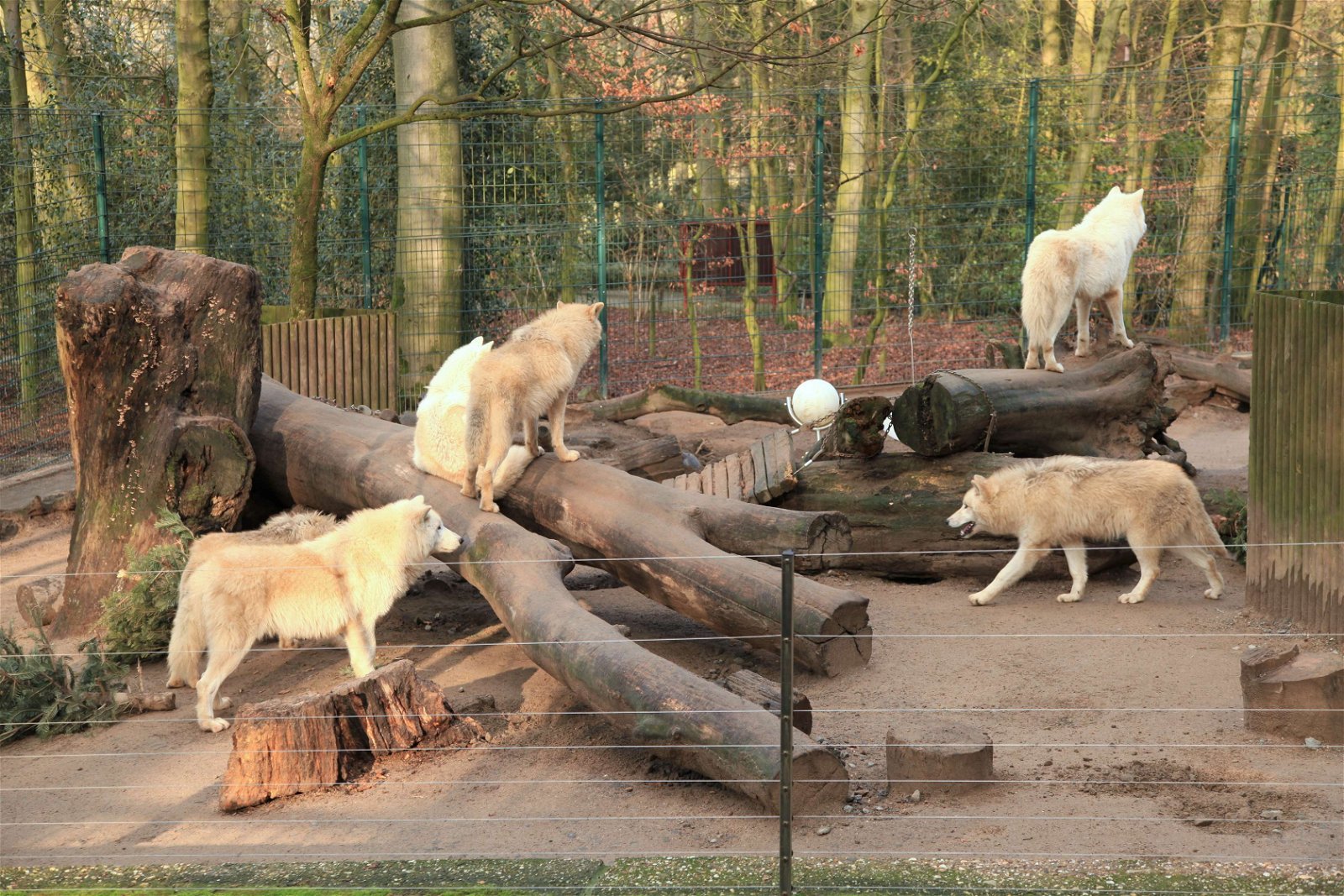 Zoo Wuppertal