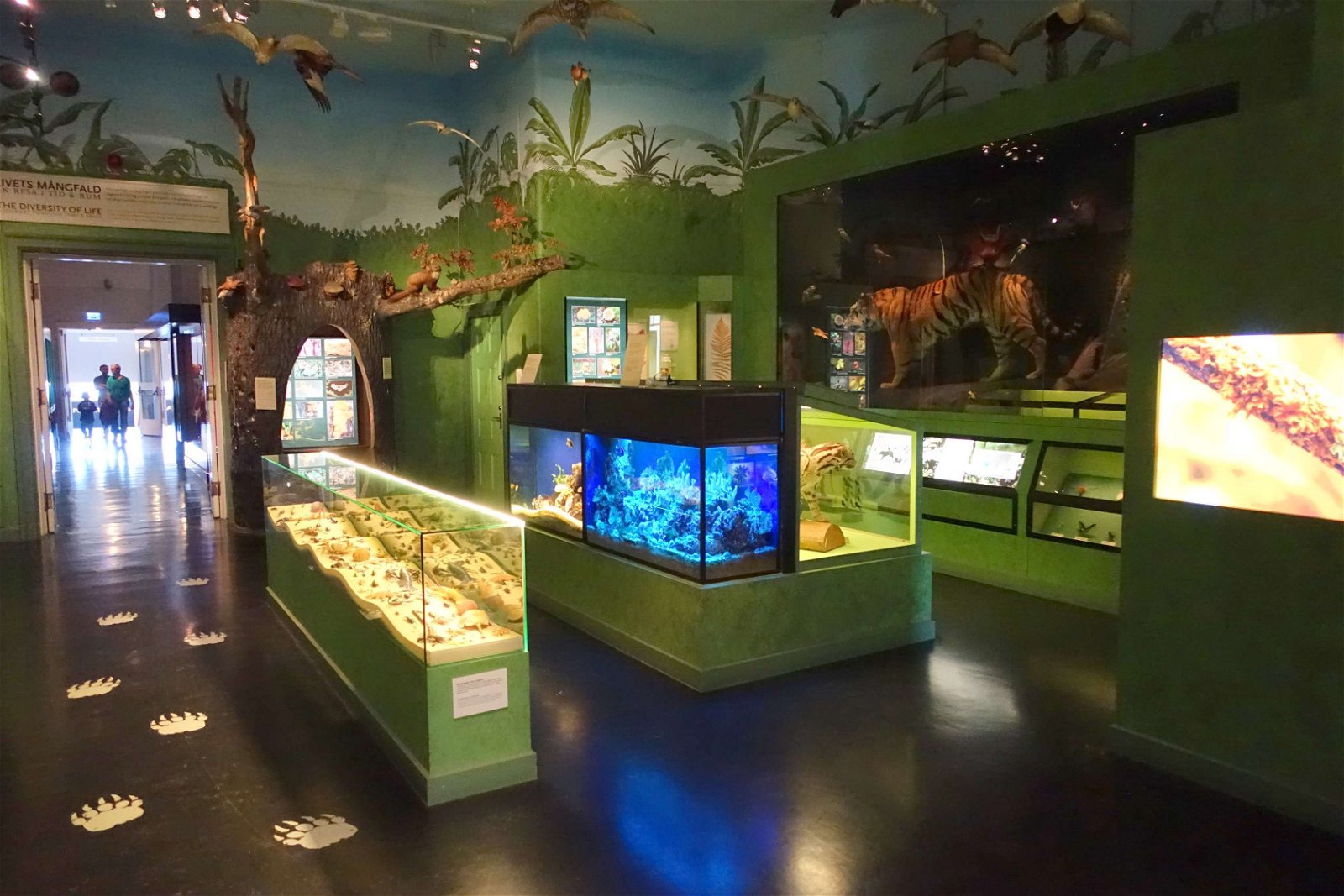 Swedish Museum of Natural History