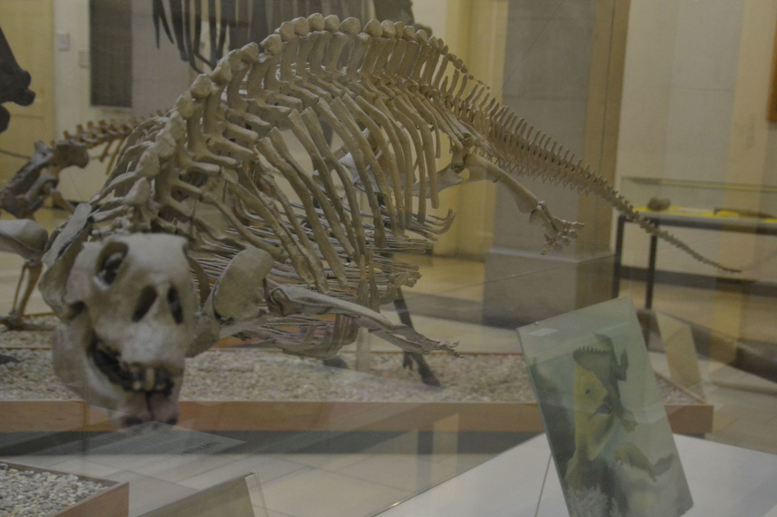 Paläontologische Museum Munchen