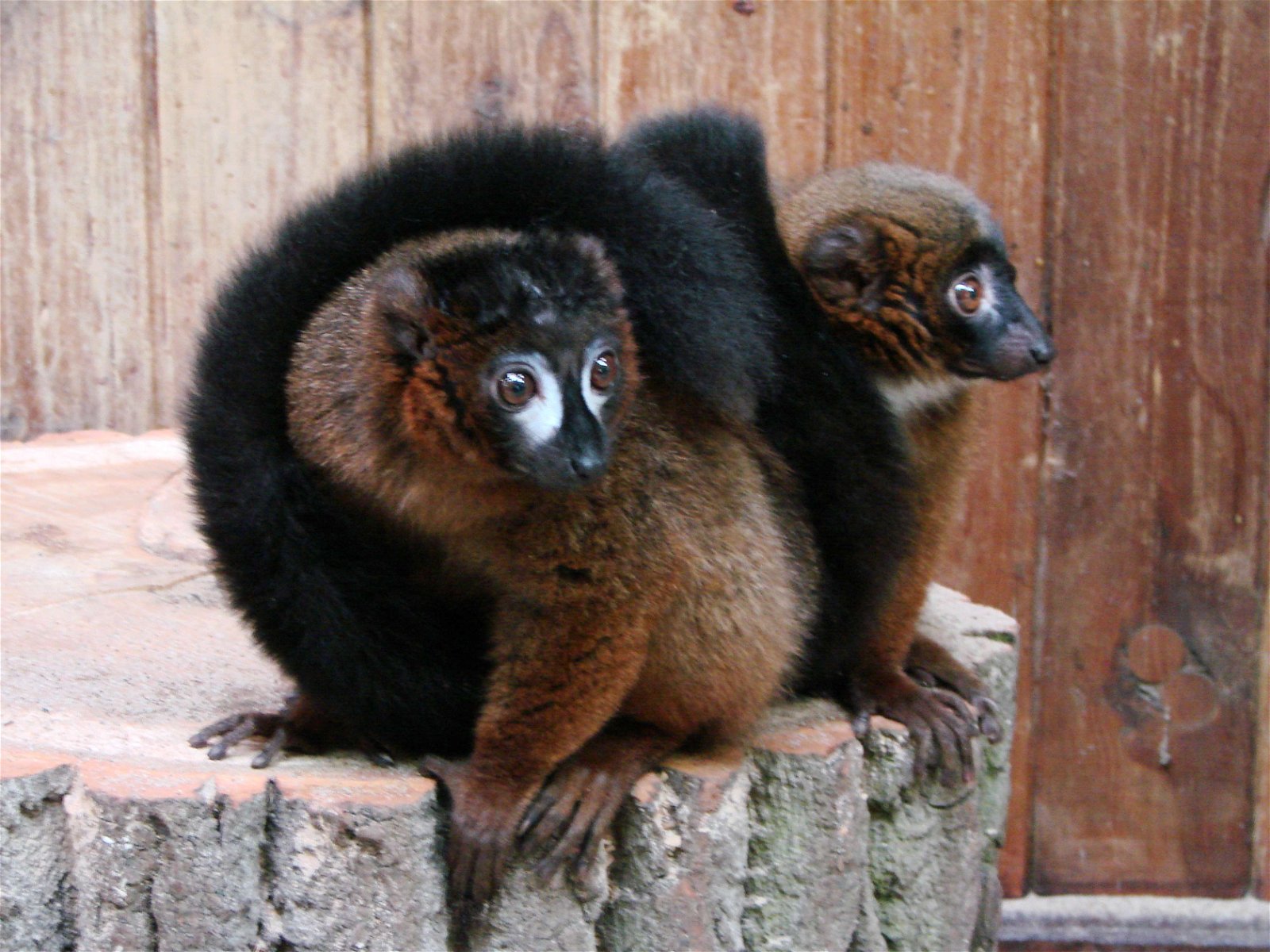 Wroclaw Zoo & Africarium