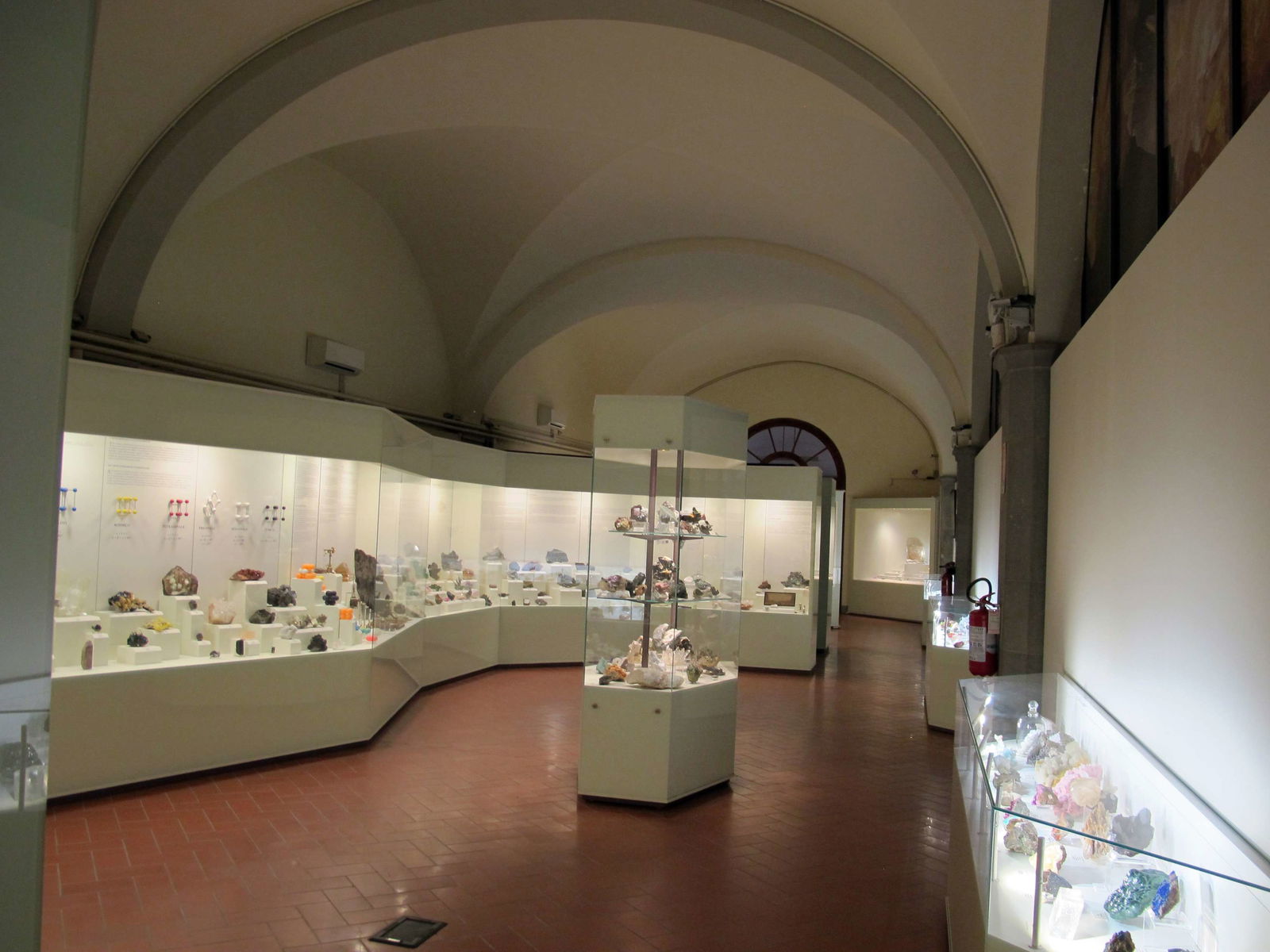 Museo di Storia Naturale di Firenze - Geologia e Paleontologia