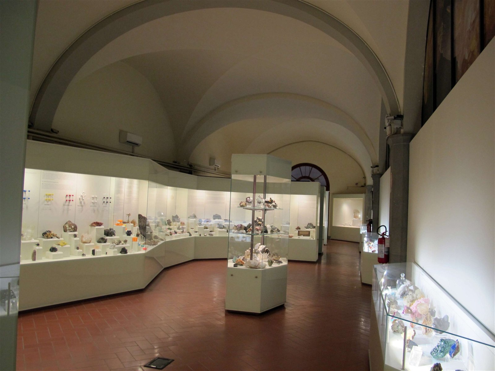 University of Florence Natural History Museum - Geology and Paleontology