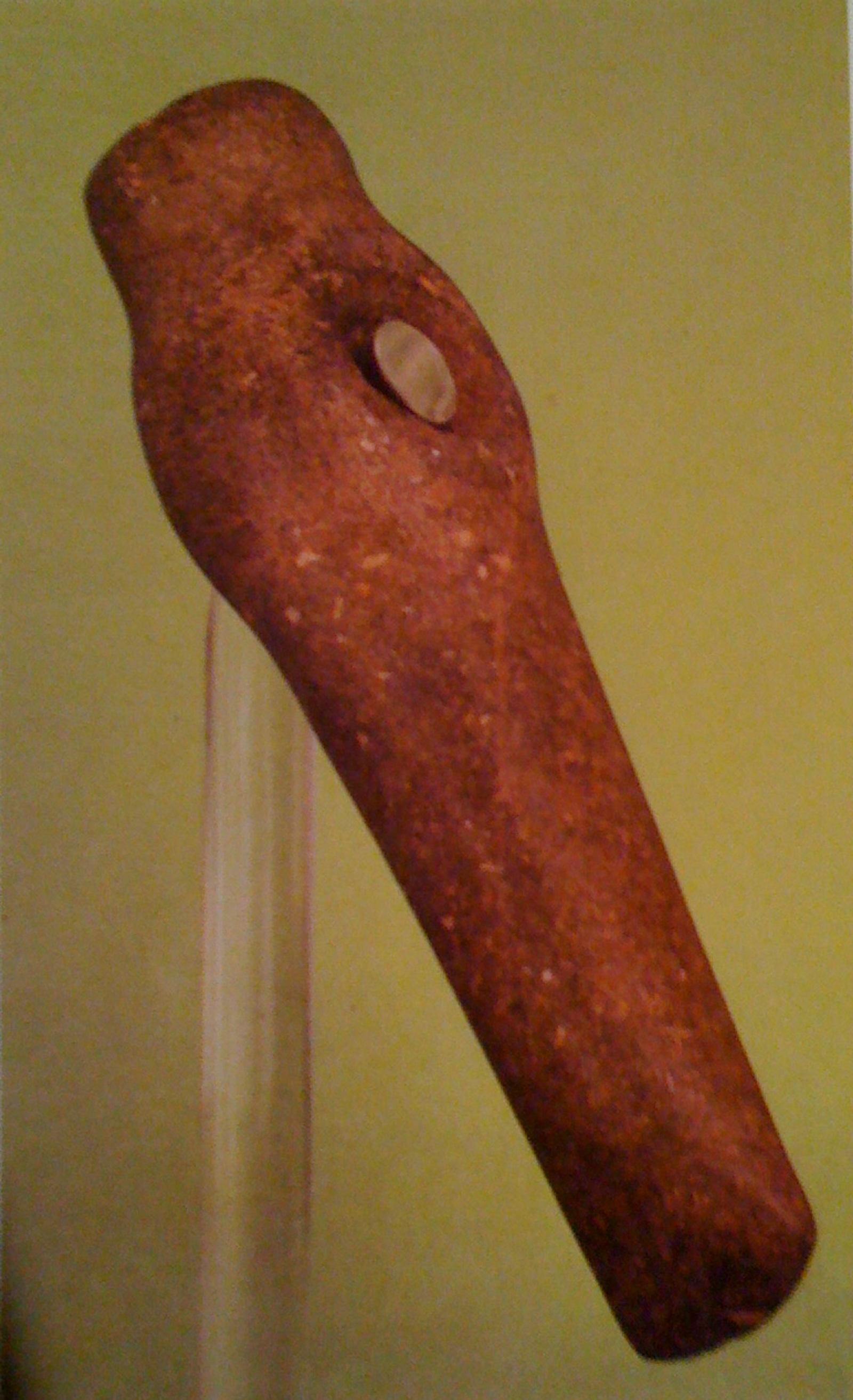 Pigorini National Museum of Prehistory and Ethnography