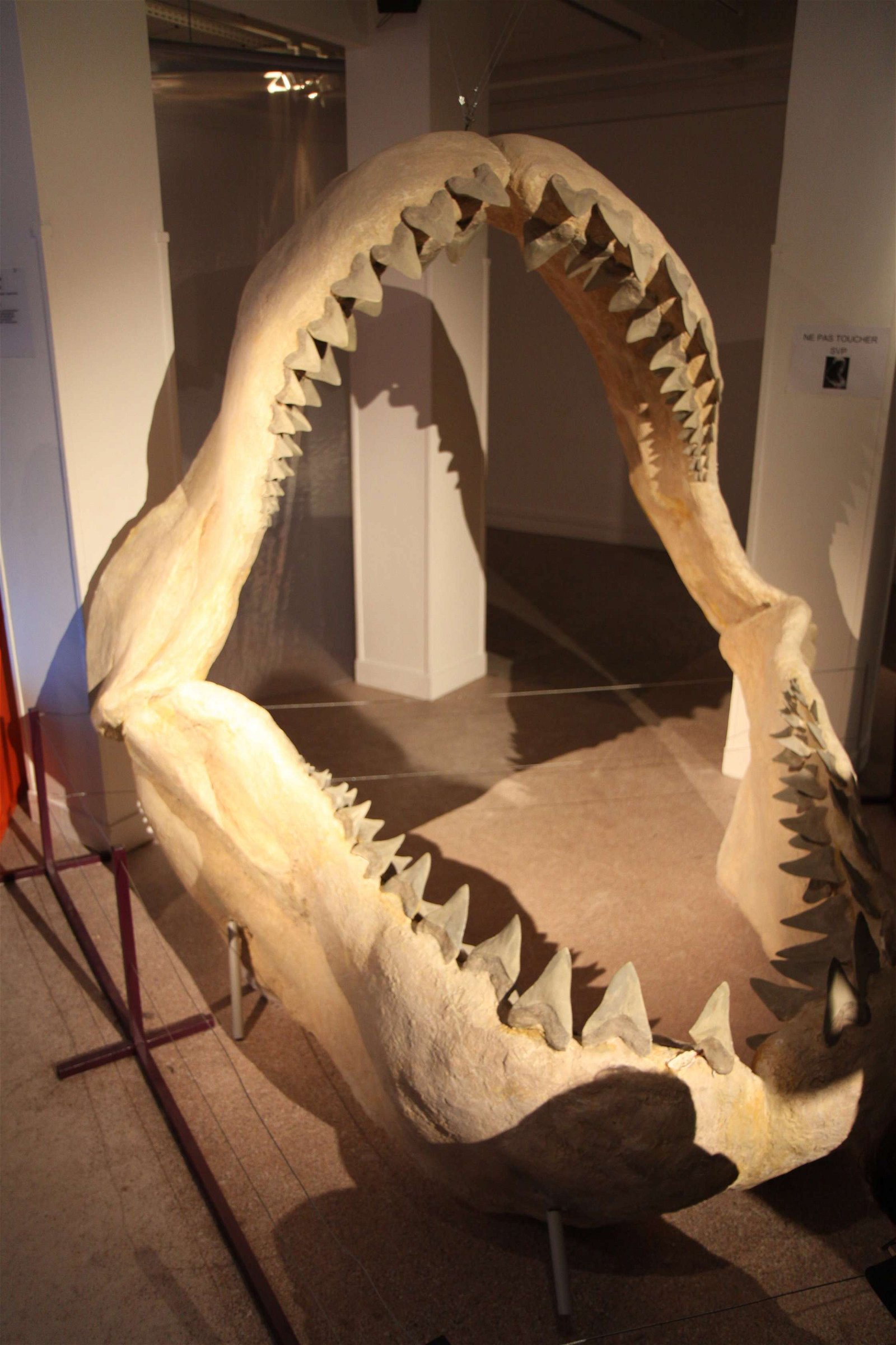 Aquarium de la Porte Dorée