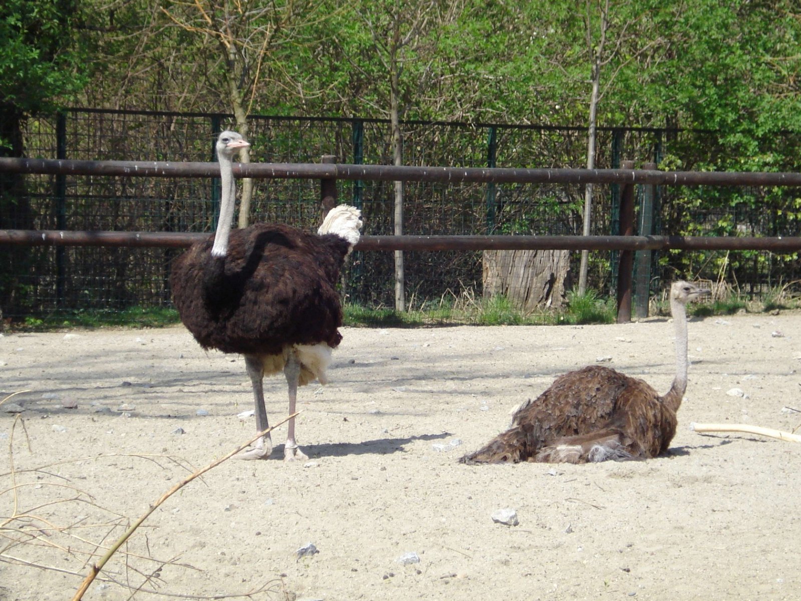 Zagreb Zoo