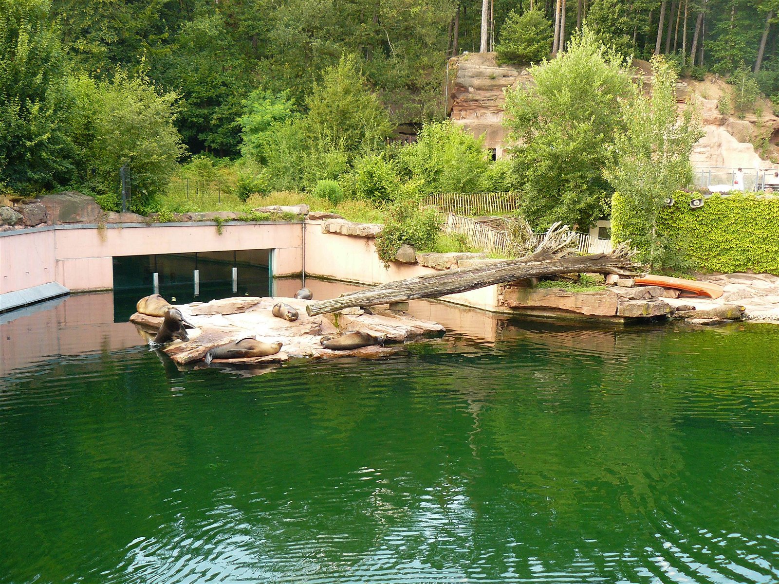 Nuremberg Zoo