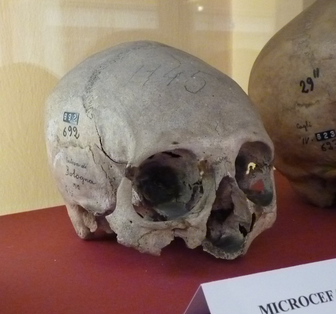 Museo di Antropologia