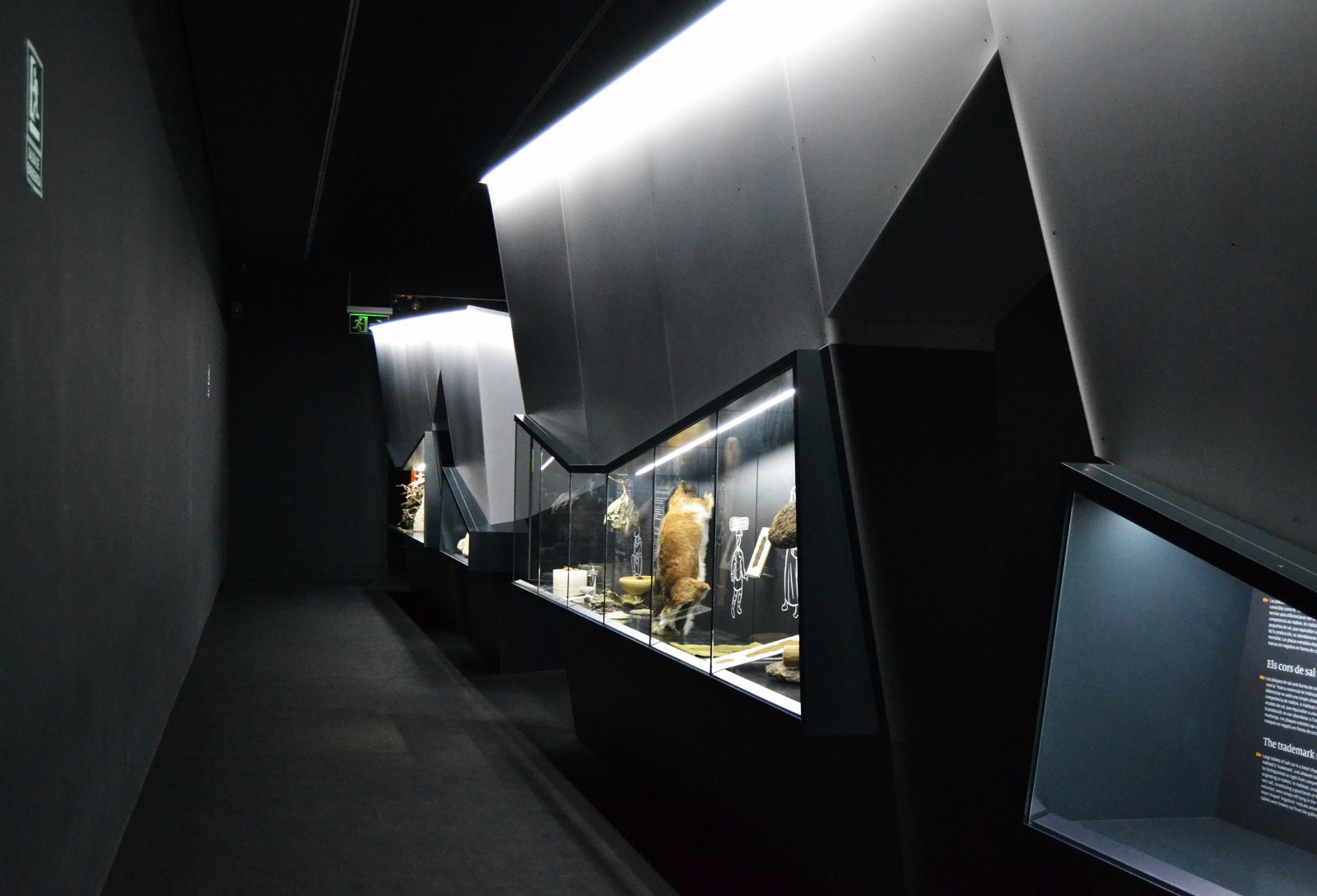 Museo Arqueológico Provincial de Alicante