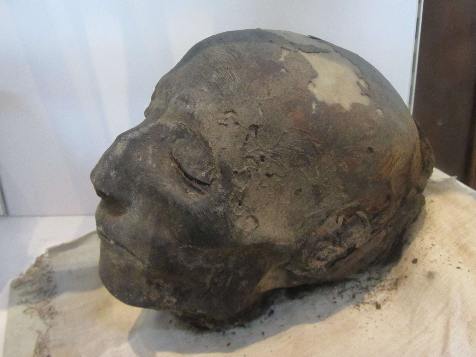 Egyptian Museum of Turin