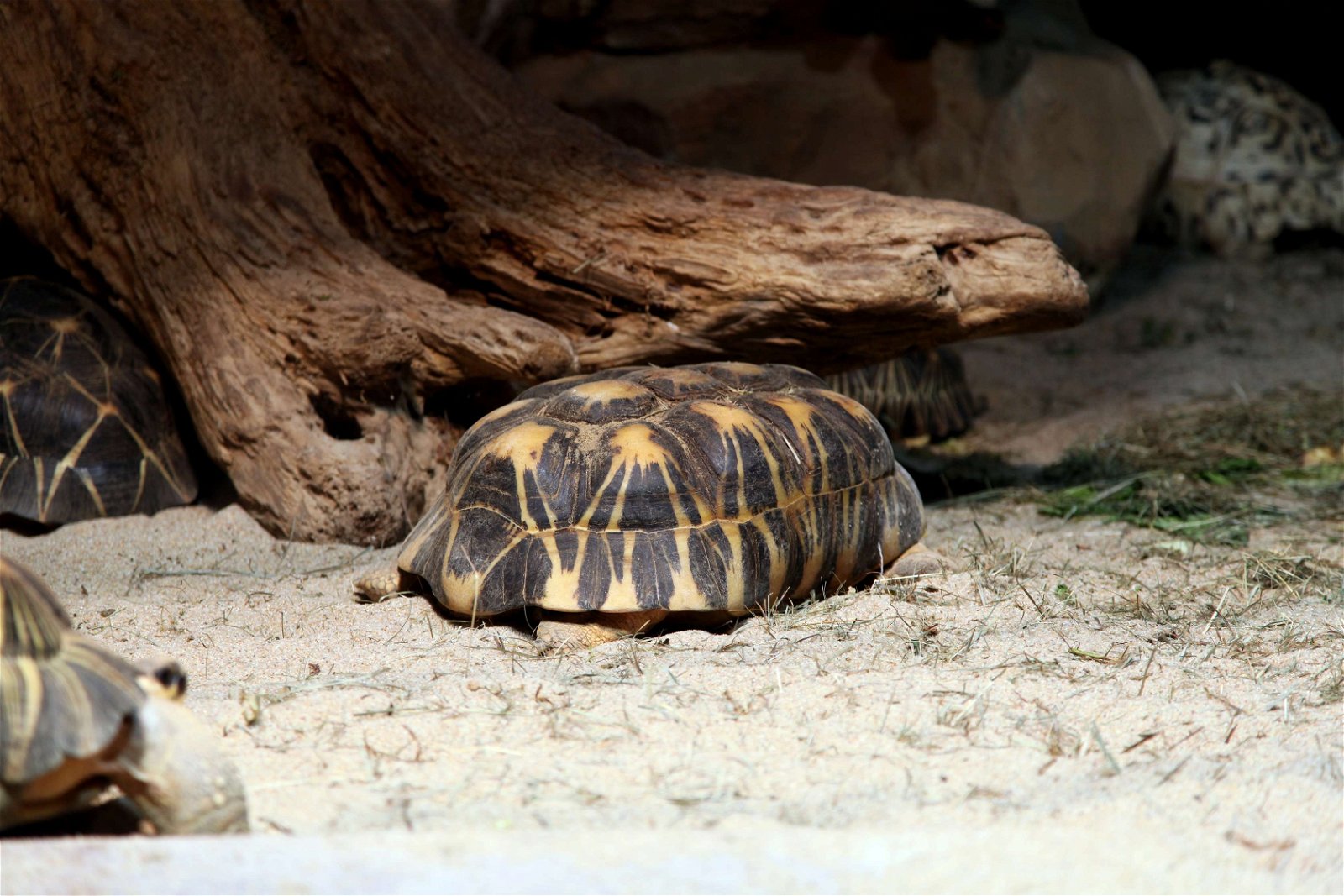 Aquazoo – Löbbecke-Museum Düsseldorf