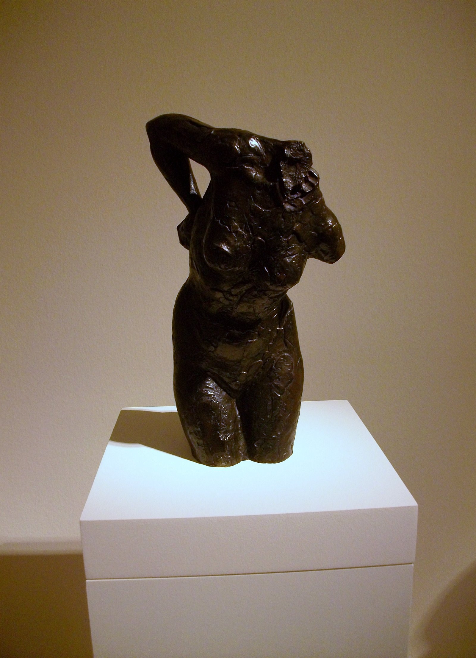 Institut Valencià d'Art Modern (IVAM)