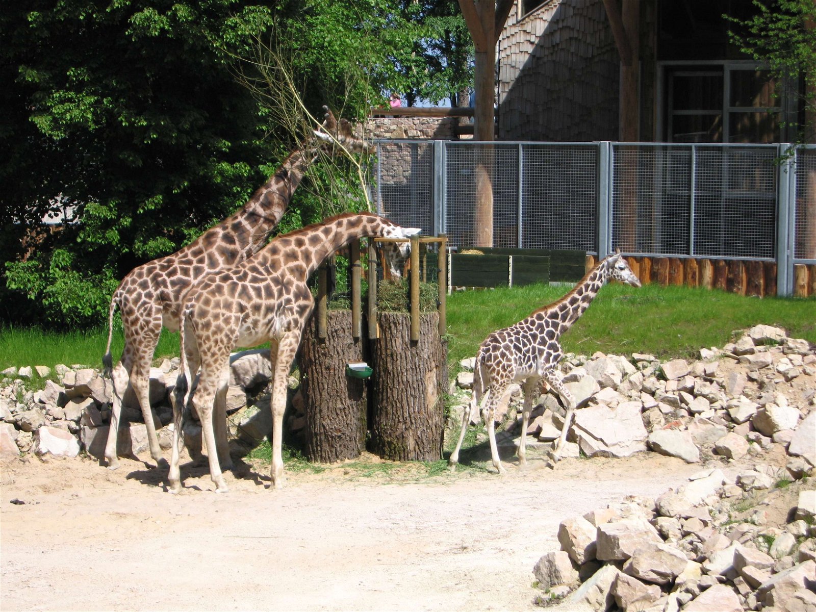 Riga Zoo