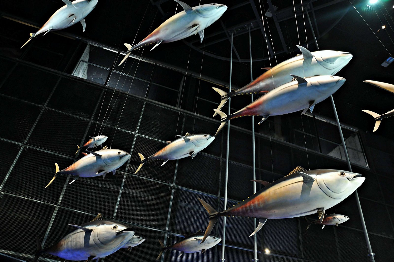 CosmoCaixa Barcelona