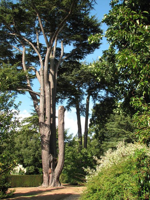 Somerleyton Hall and Gardens