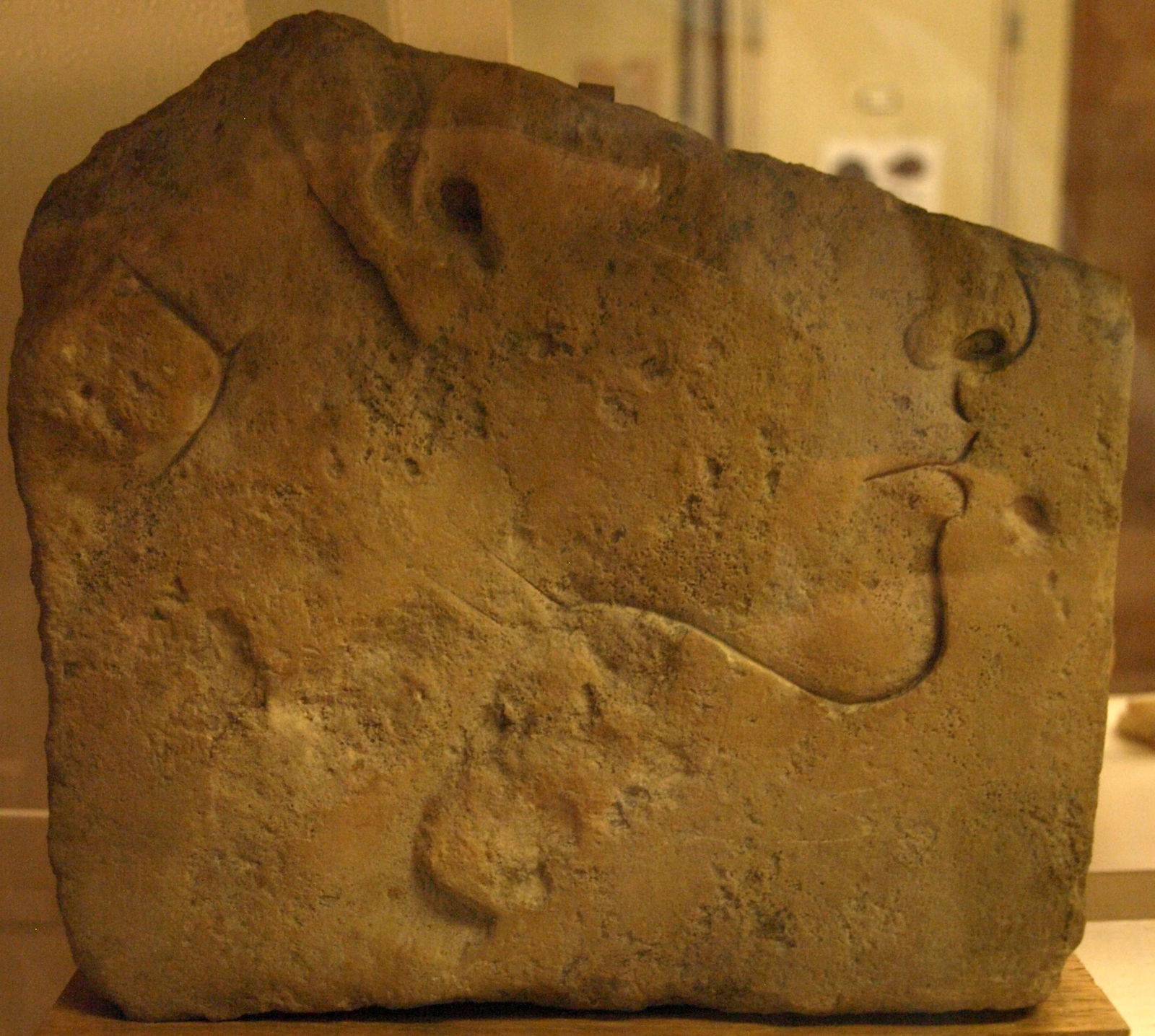 Petrie Museum of Egyptian Archaeology