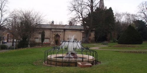 Animals, Colour and Light by Amanda Drage