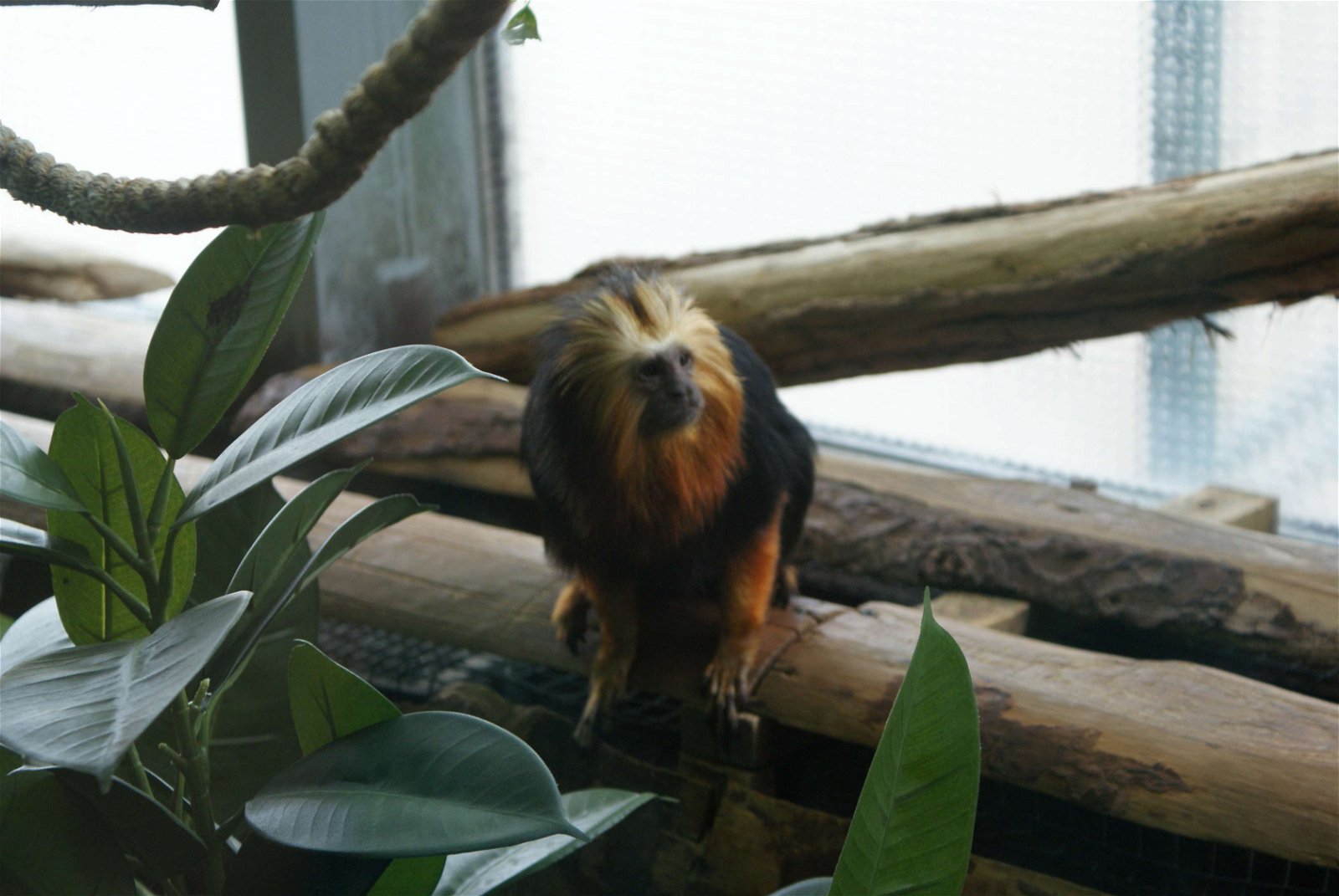 Tropicarium - Oceanarium