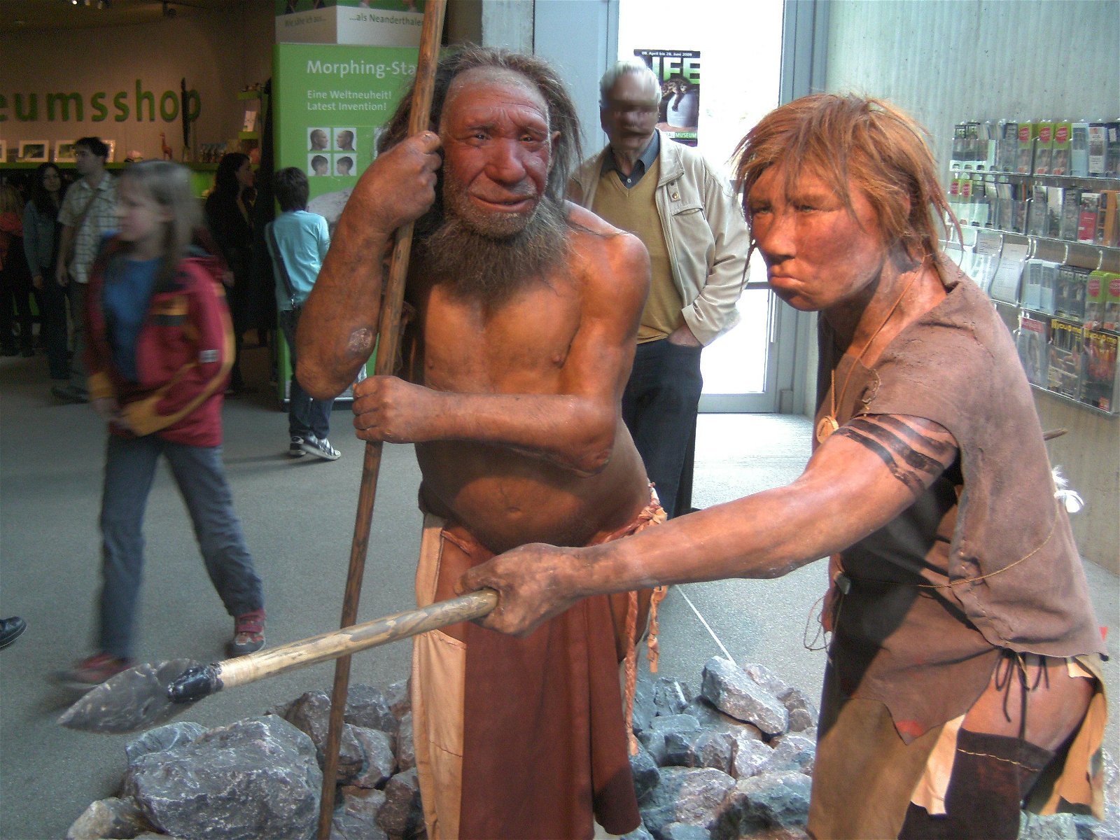 Neanderthal Museum