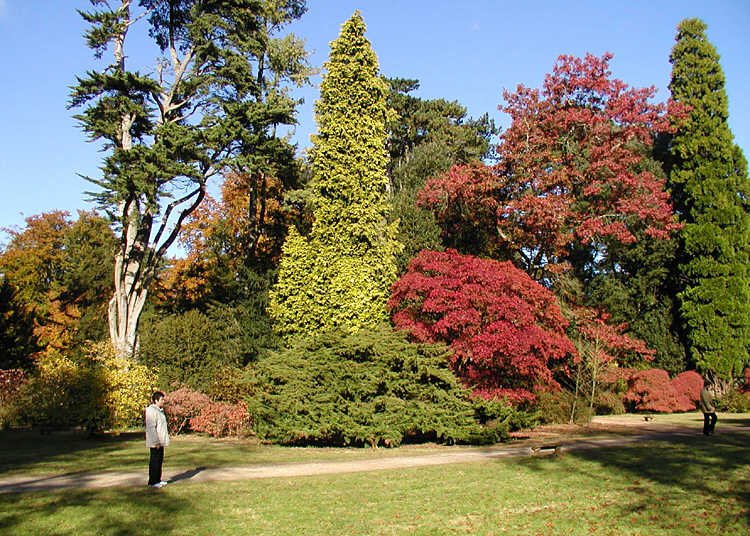 Westonbirt Arboretum