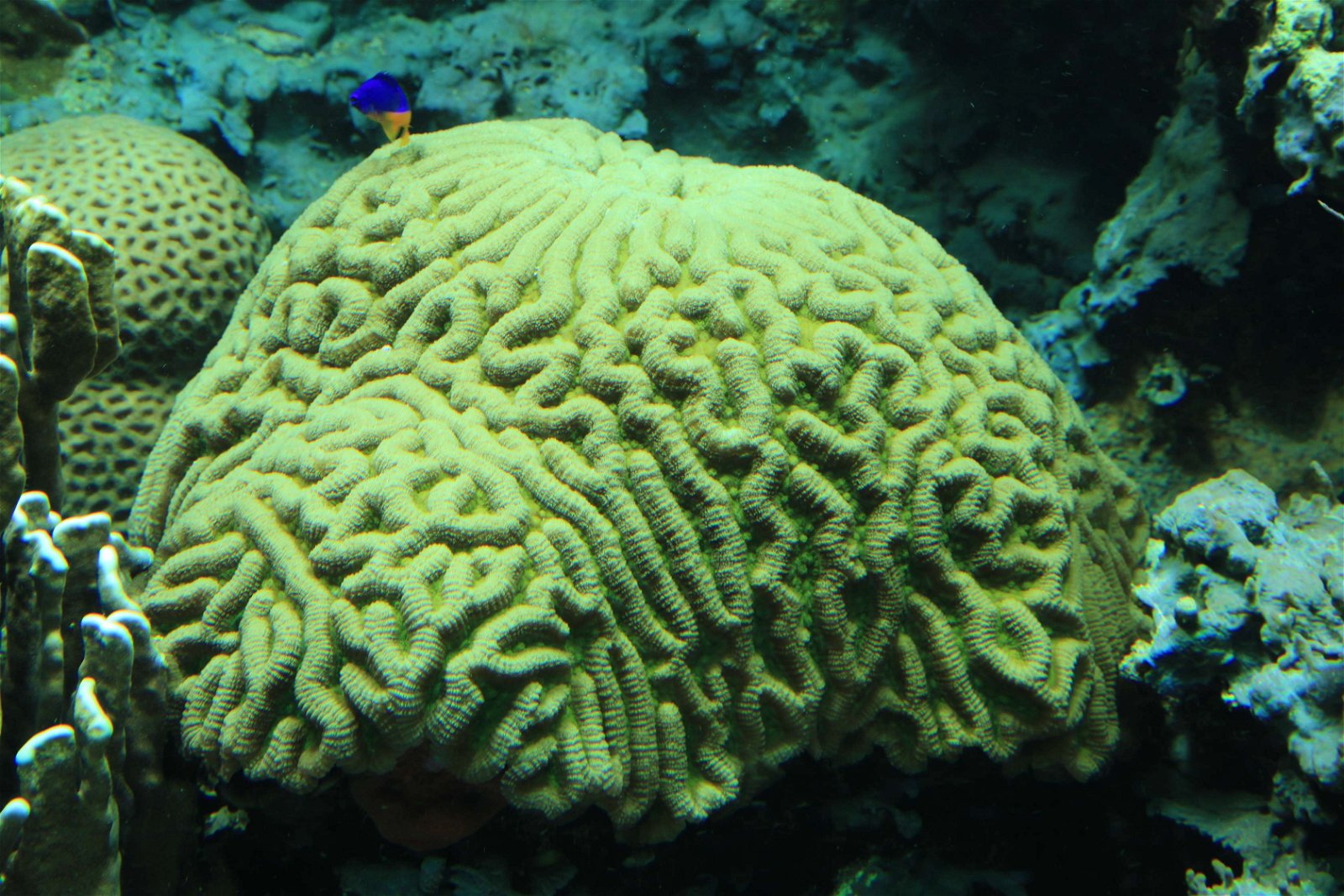 Tierpark und Fossilium Bochum