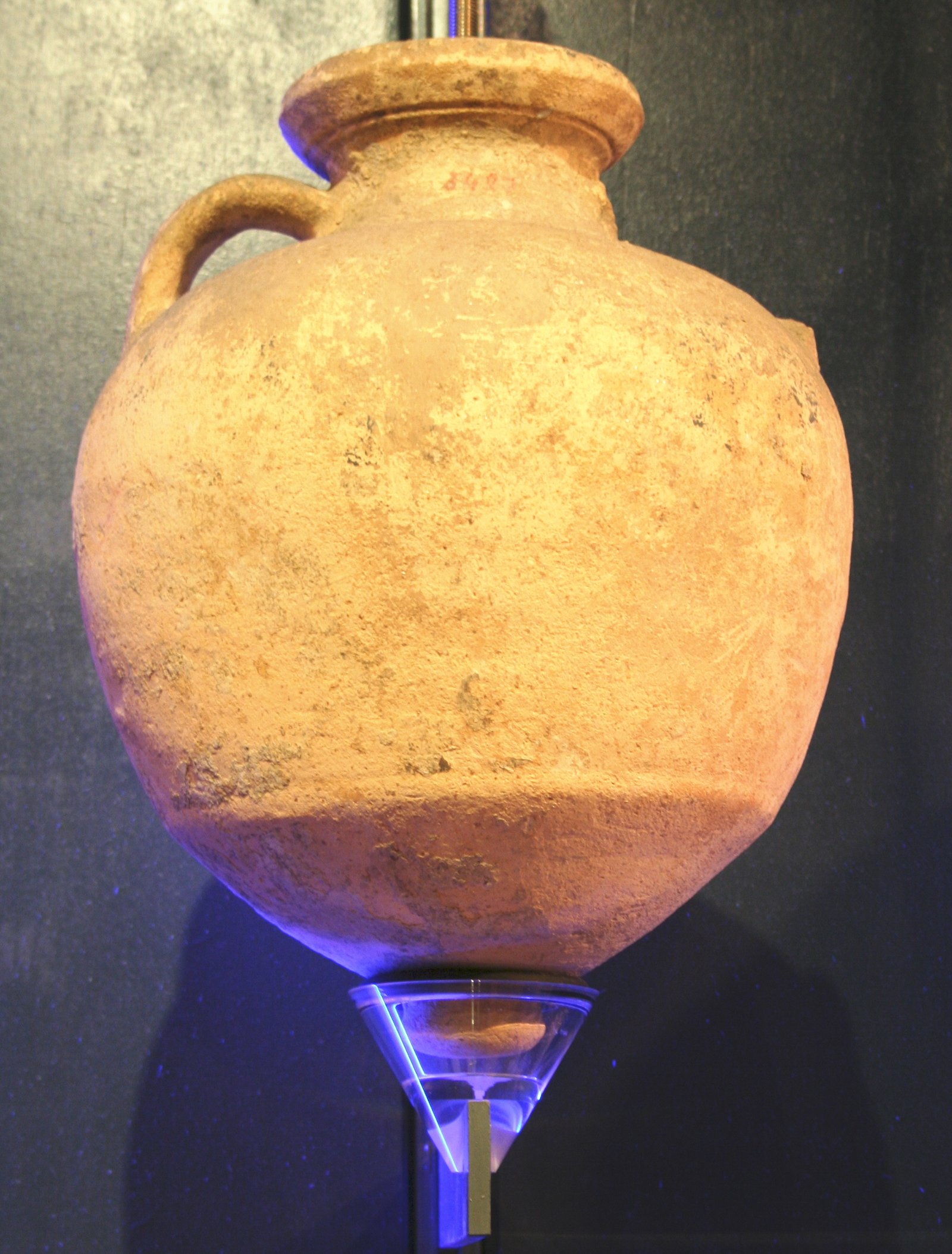 Musée des Docks Romains