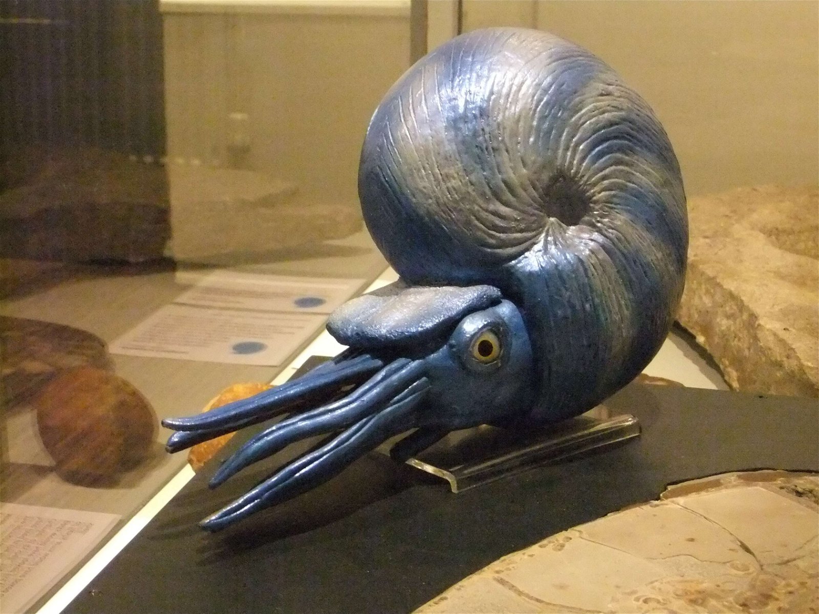 Wrexham County Borough Museum and Archives