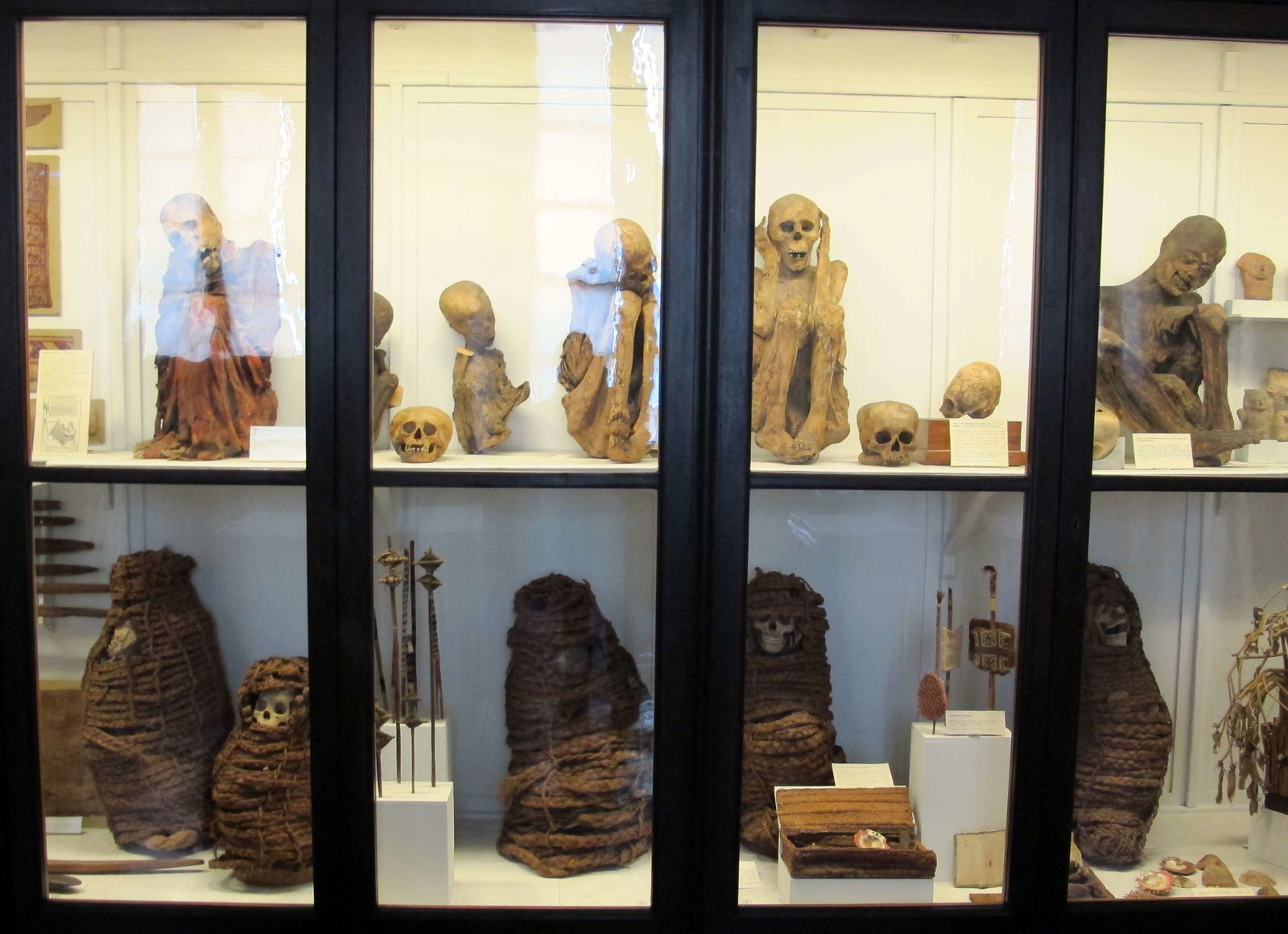 Museo Nazionale di Antropologia e Etnologia