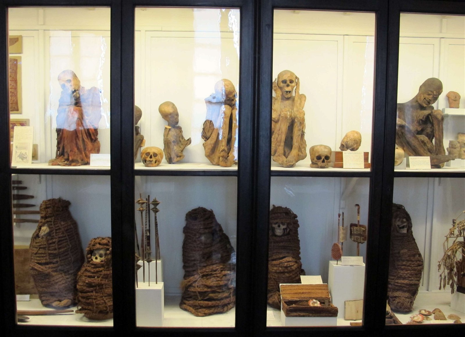 Museum of Anthropology and Ethnology