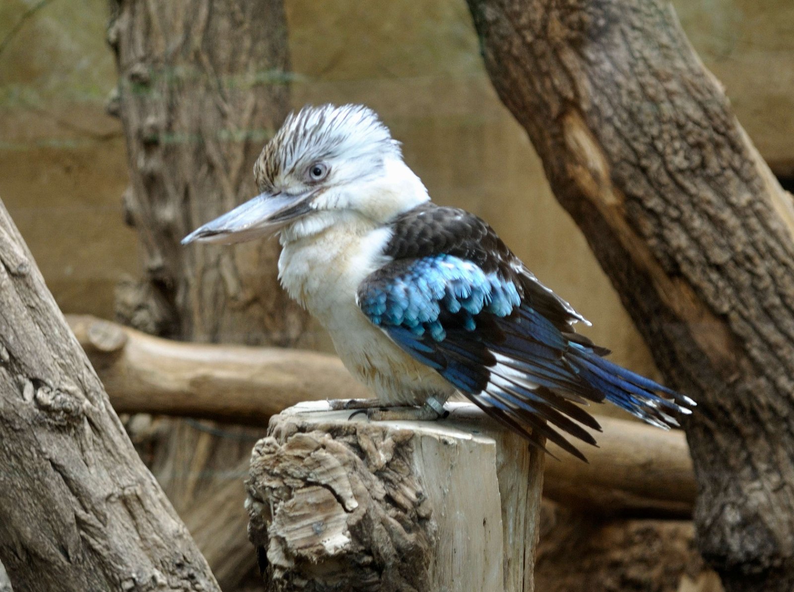 Zoo Duisburg