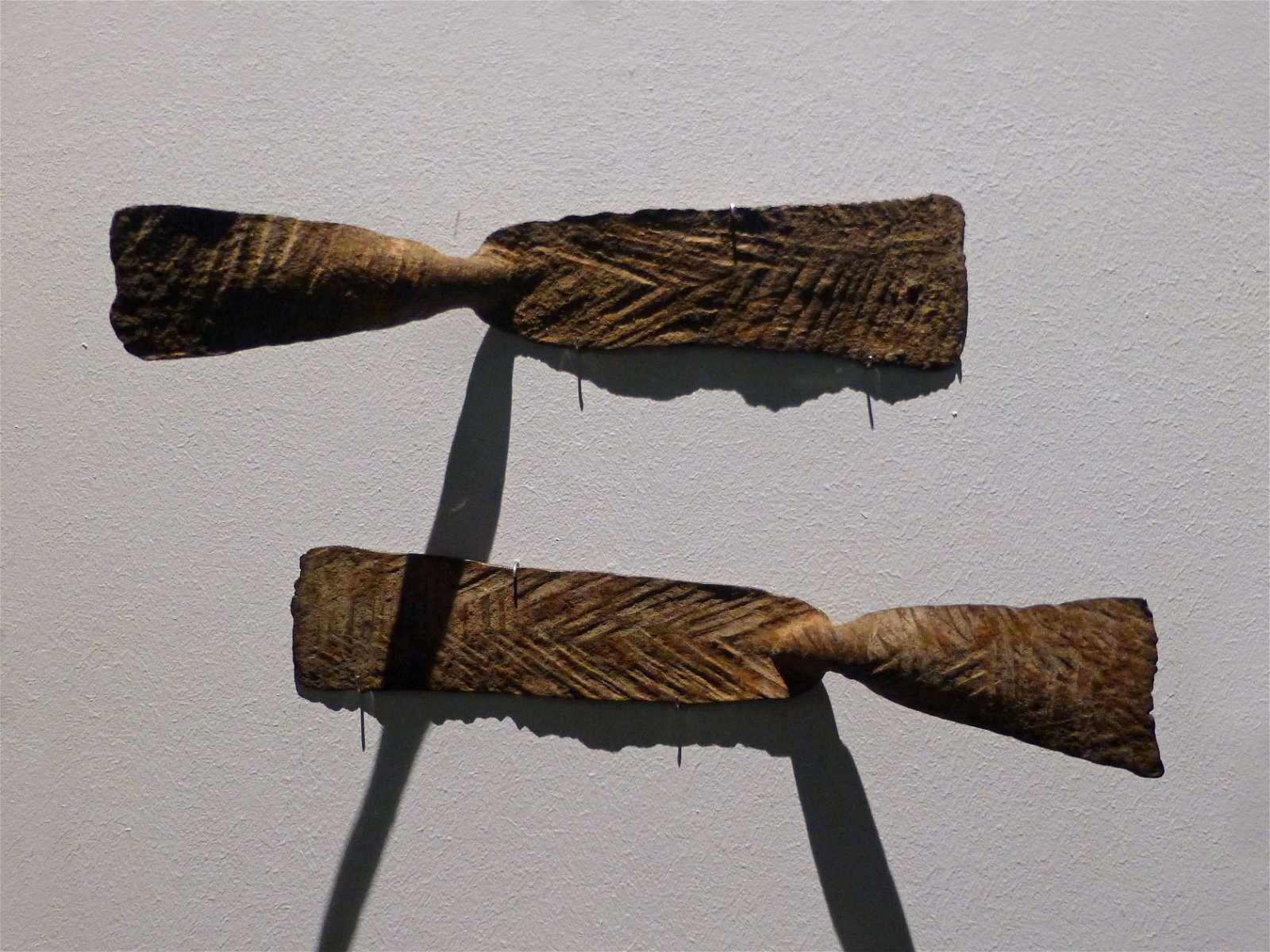 Musée des Confluences