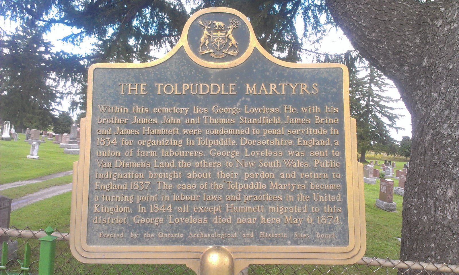Tolpuddle Martyrs Museum