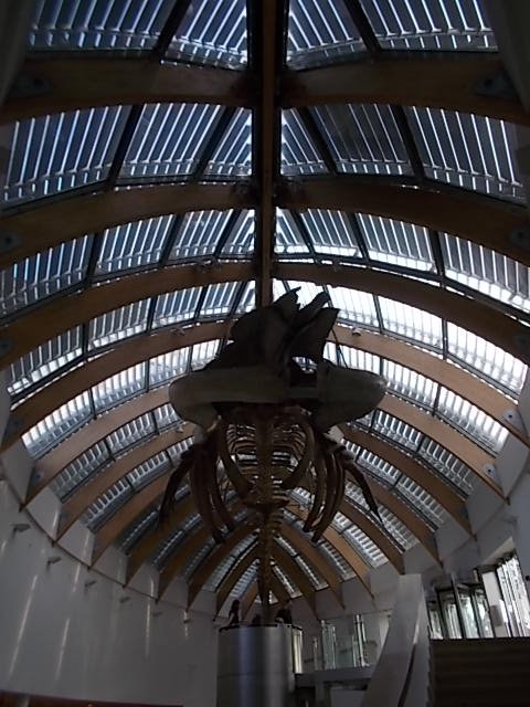 Hungarian Natural History Museum