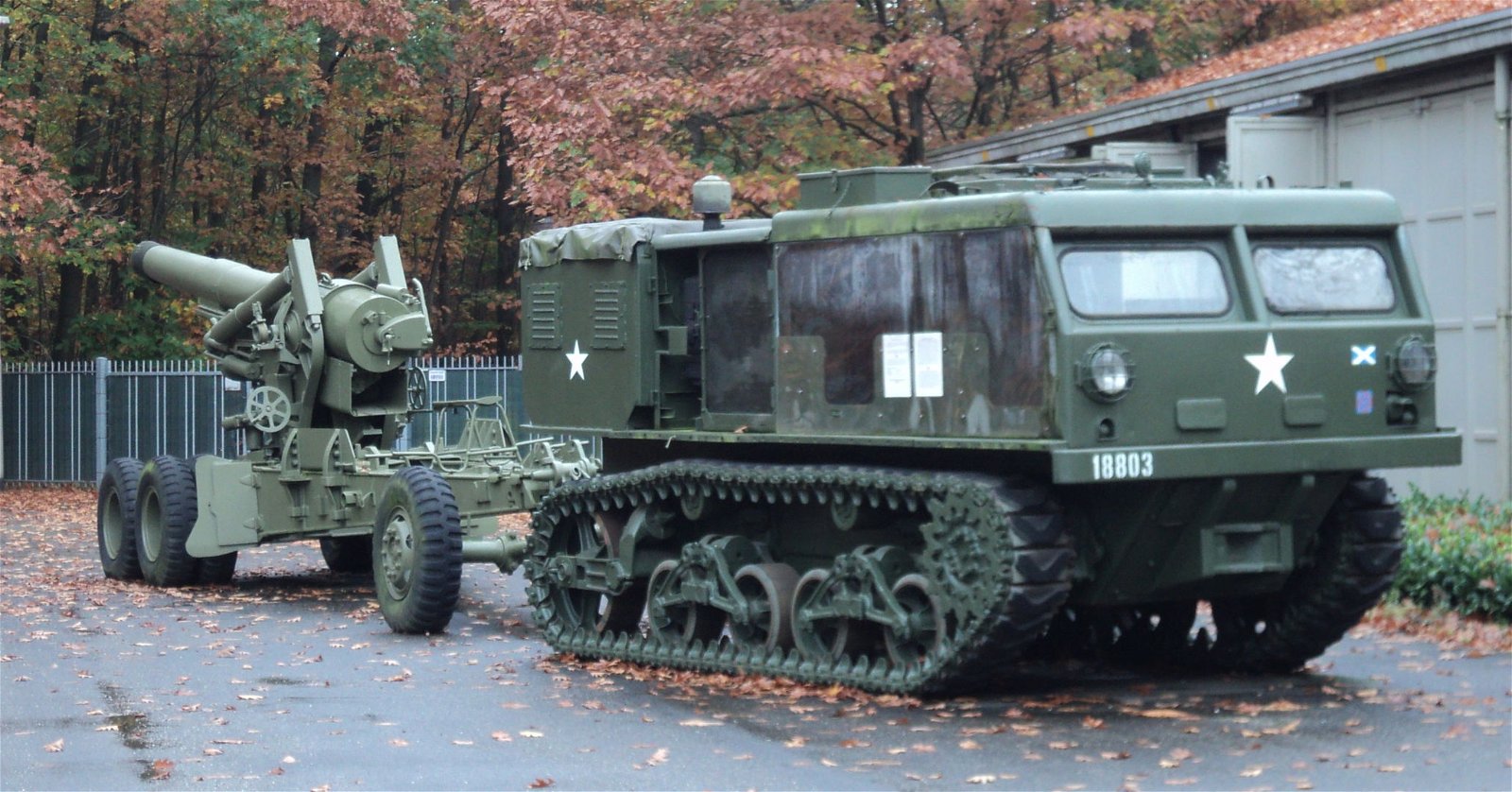 Bevrijdende Vleugels