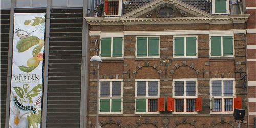 Inspired by Rembrandt