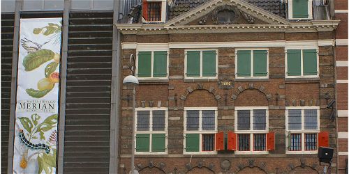 Rembrandts eerste schilderijen - De vier zintuigen