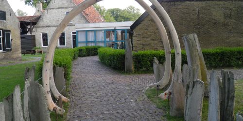 Amelander Olympisch kampioen Hannes de Boer