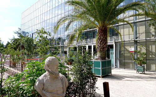 Hortus Botanicus Leiden