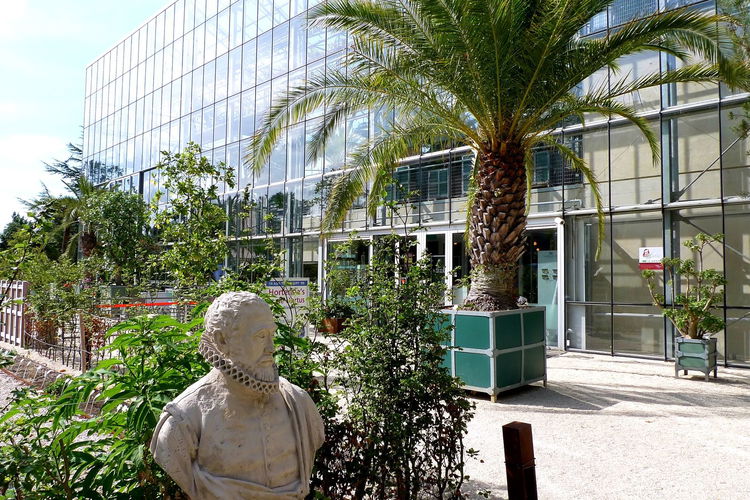Hortus Botanicus Leiden