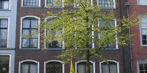 Over Delftsche bruggetjes