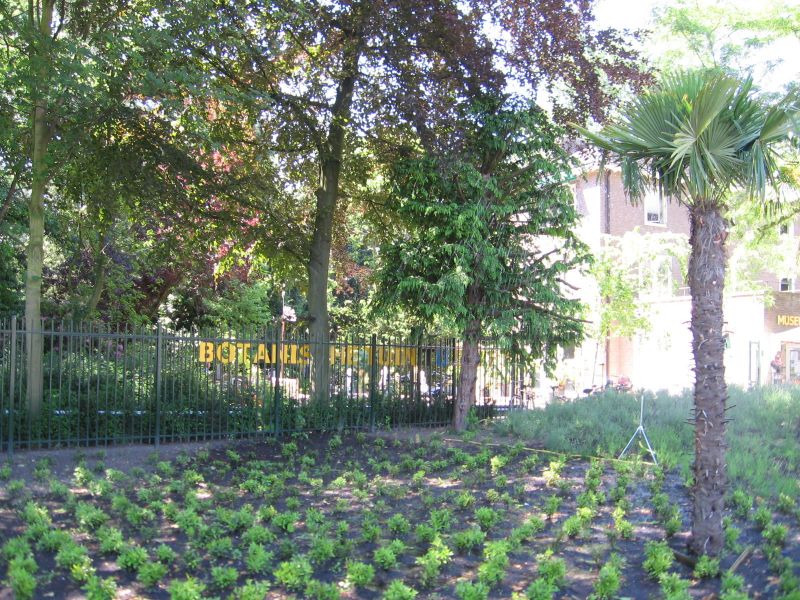 TU Delft Botanical Garden