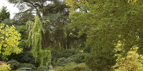 31 aug t/m 26 okt- Ontdek voedselbos De Overtuin – groengidswandeling