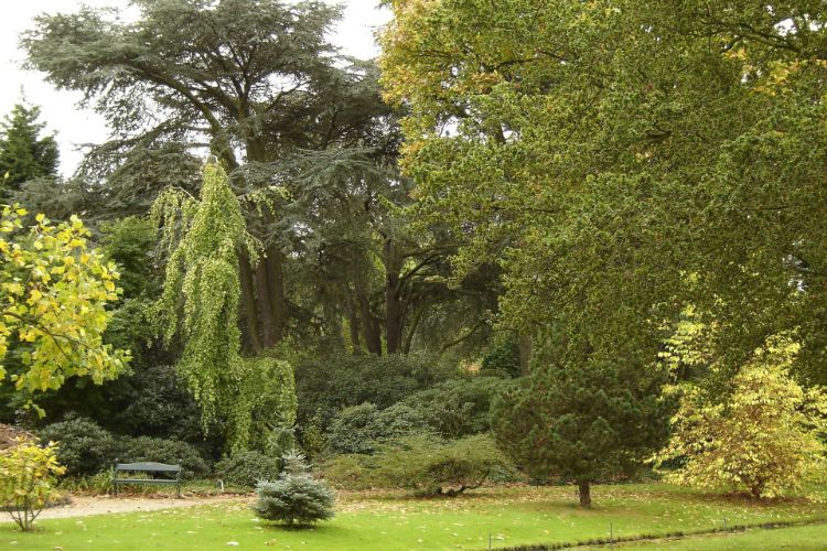 Trompenburg Tuinen & Arboretum
